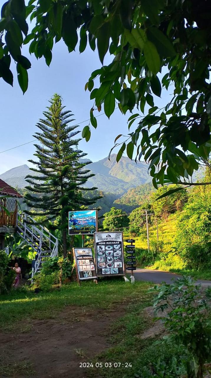 Blue Mountain Cottage Senaru Exterior foto