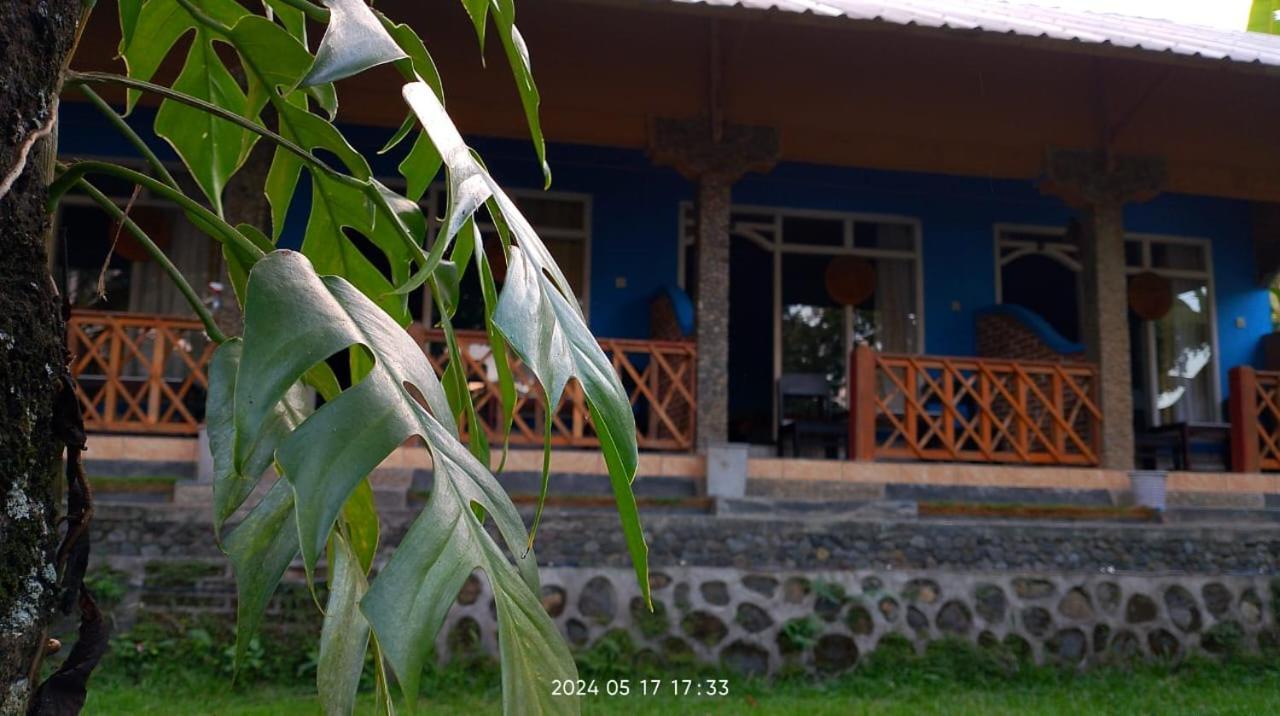 Blue Mountain Cottage Senaru Exterior foto