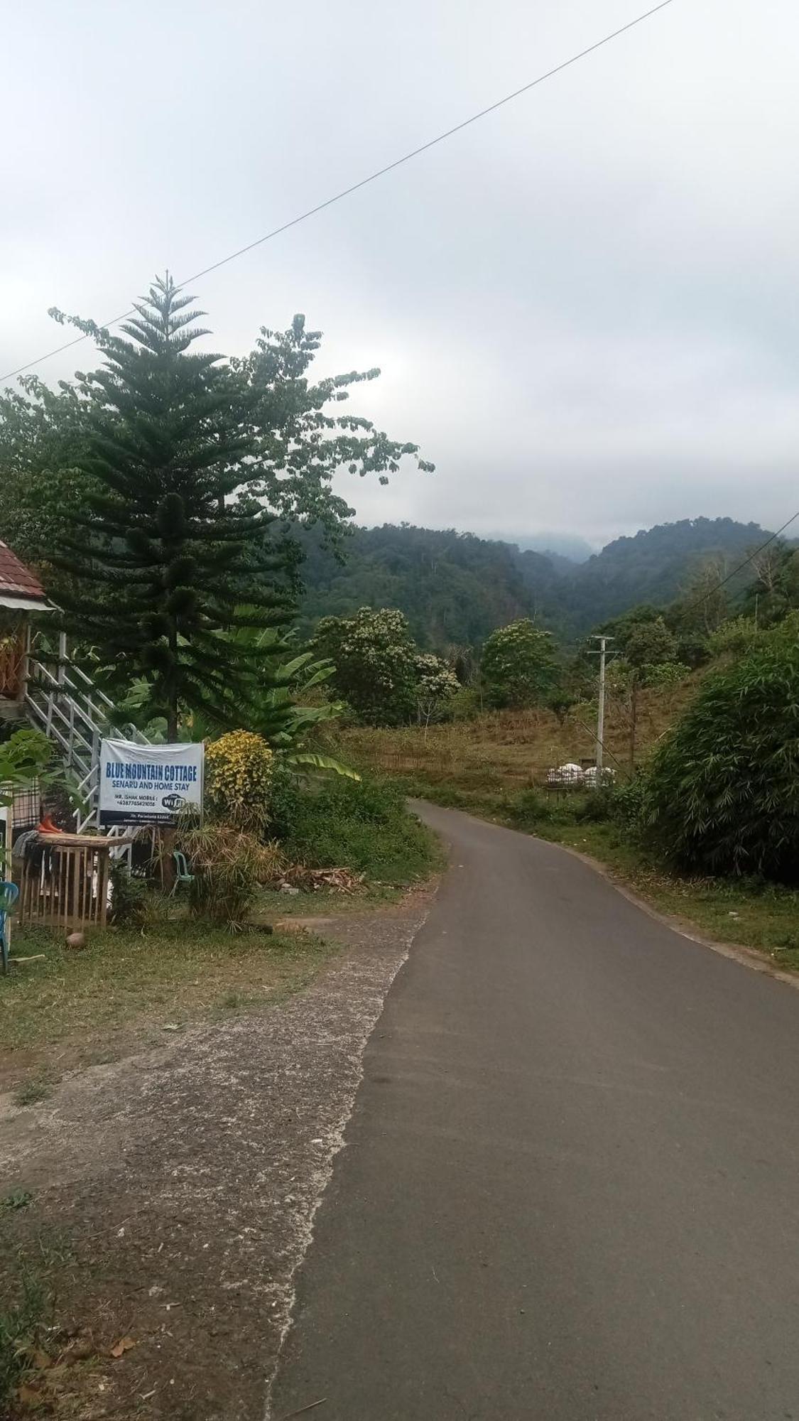 Blue Mountain Cottage Senaru Exterior foto