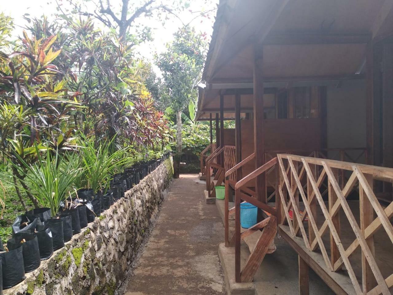 Blue Mountain Cottage Senaru Exterior foto